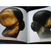 BRANCUSI - album de Radu Varia - in limba engleza - Rizzoli New York BRANCUSI - album de Radu Varia - in limba engleza - Rizzoli New York